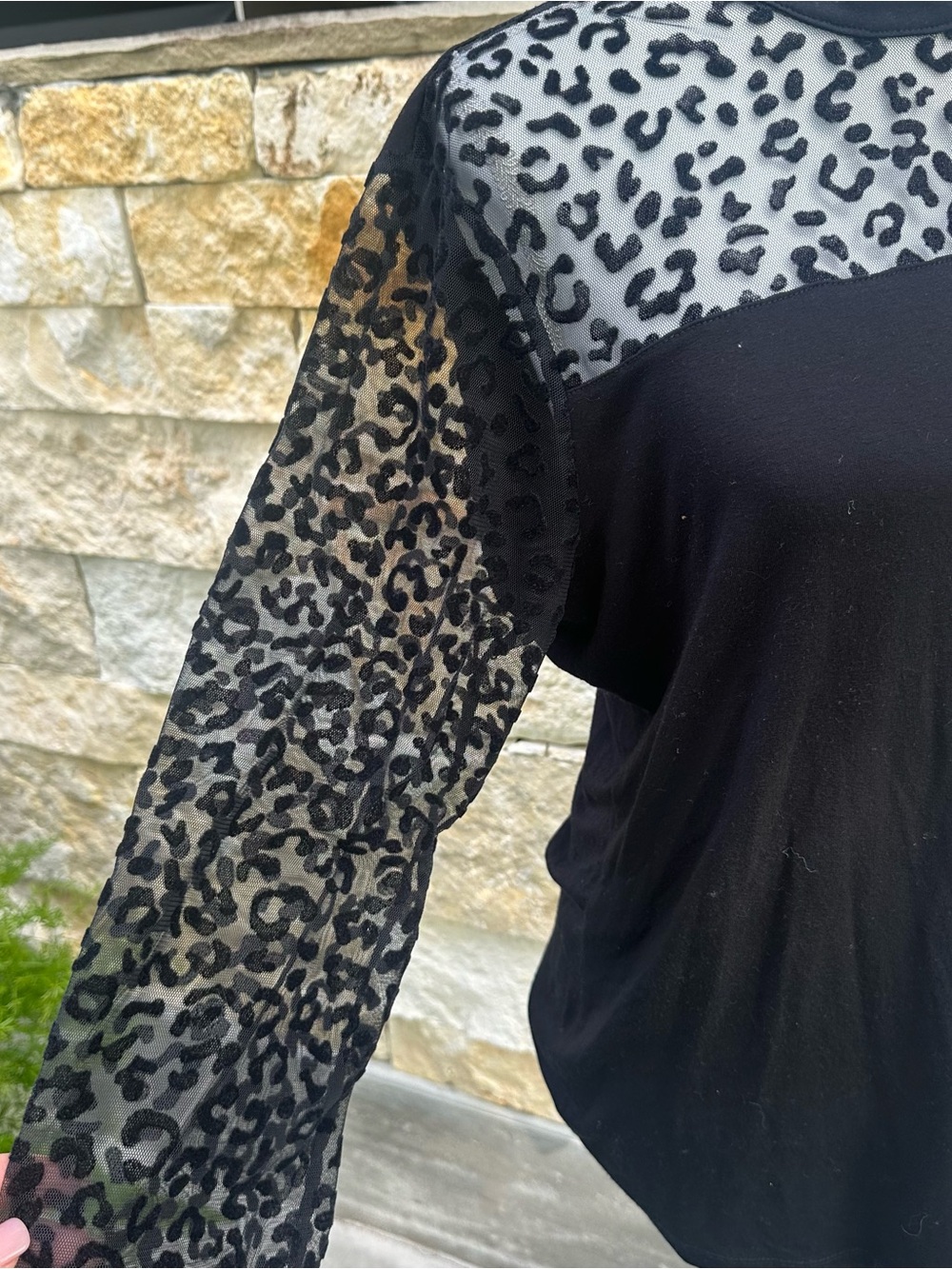 VENUS Black Sheer Leopard-Print Sleeve Pullover